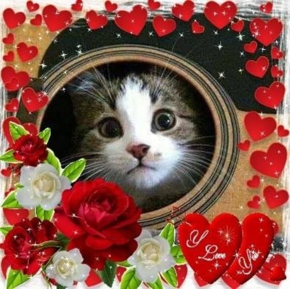 Meet your Posher, Bonnie - Picture 1 of 1